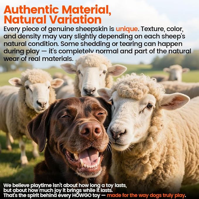 HOWGO Dog Rope Toy,Dog Bungee Chaser Toy 100% Sheepskin,Sheep Smell Tug Toy for All Breeds (Green, Long Without Ball)