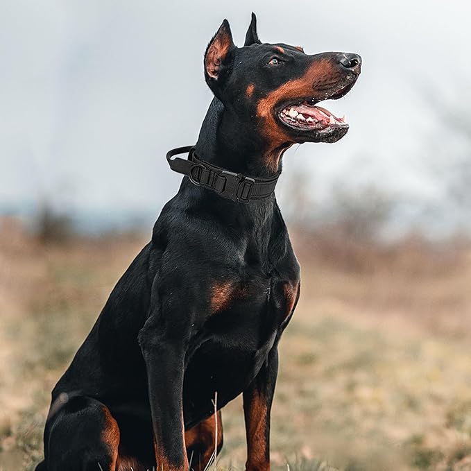 Tactical Dog Collar with Handle - Military Adjustable Dog Training Collar Soft Nylon and Heavy Duty Metal Buckle for Medium Large Dogs - with Patch (Black, Large)