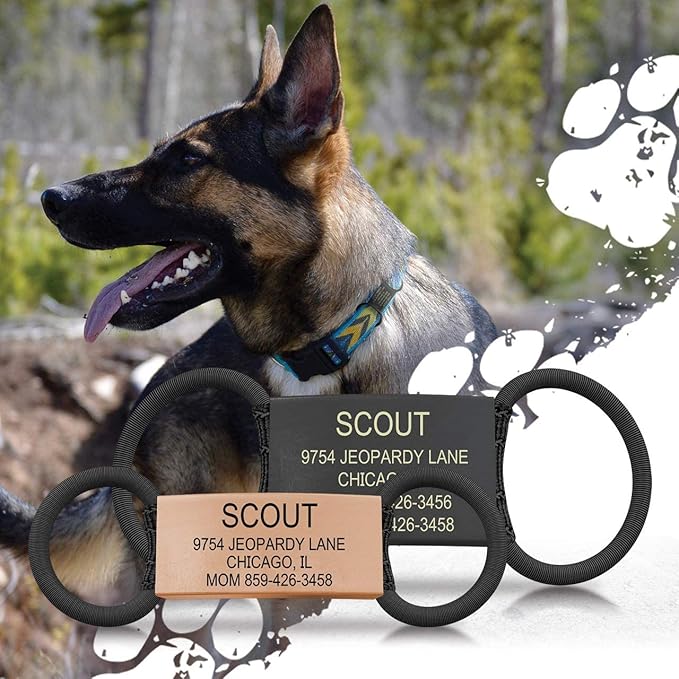 Personalized Dog Tags by ROAD iD | Silent & Durable | Jingle-Free Slide-On Design | Stainless Steel Name Tag Fits Any Collar | Multiple Colors & Sizes for Your Pet's Unique Style