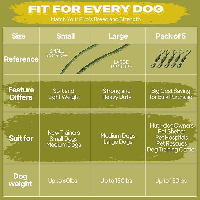 Fida Durable Slip Lead Dog Leash Bulk Pack of 5, Heavy Duty 1/2" x 6 FT Comfortable Strong Rope Slip Lead for Large, Medium & Small Dogs No Pulling Pet Training Leash with Highly Reflective (Mixed)