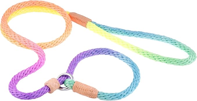 Alvalley Nylon Dog Training Leash with Stopper - Adjustable Nylon Rope Comes with Braided Leather at Ends - Tagua Bead Stopper Slip Lead - Suitable for Walking, and Training