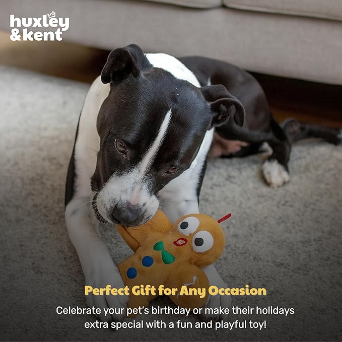 Huxley & Kent Funny Dog Toy w/Squeaker – Holiday Power Plush Squeaky Dog Toys for Small, Medium & Large Dogs – Soft Stuffed Animal for Indoor Play & Fetch - Ginger Snapped, Large