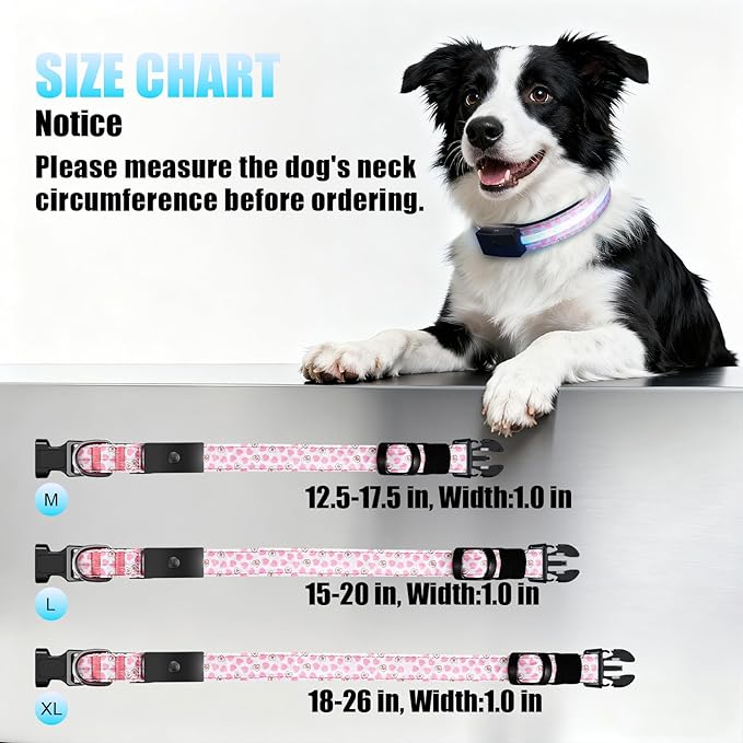 LED Dog Collar - Brightest Light Up Dog Collars - 1,600 Feet of High Visibility - Magnetic Charging - Dog Lights for Night Walking, Heart Extra Large