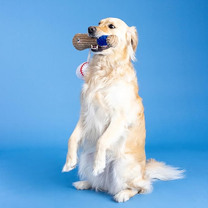 Fringe Studio Plush Dog Toy with Rope, Batter UP, Pet Shop Collection (314243)