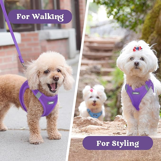 rabbitgoo Small Dog Harness, Step-in Soft Mesh Puppy Vest with Safety Buckle, Breathable Reflective Pet Harness for Small Medium Dogs, Purple XL