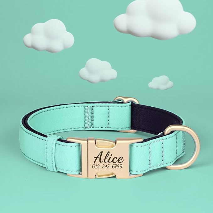 PET ARTIST Colorful Personalized Dog Collars, Custom Dog Collar with Silent Engraved ID Tag, Lightweight Breathable Nylon & Soft Padded, Matching Leash & Poop Bag for Medium Dogs,Green,M Fit 13-20"