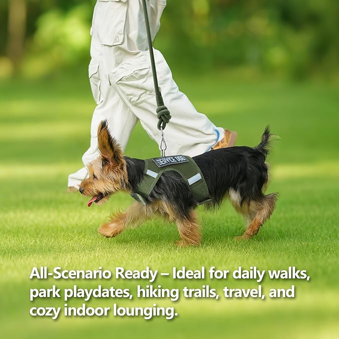 Dog Harness for Puppy – Adjustable Reflective Easy Put On Soft Mesh Vest for Small Dogs with 2 Patches (Misty Green,XS)