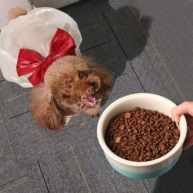 Sweejar Ceramic Dog Bowls, Dog Food Dish for Large Dogs and Cat, Heavy Duty Porcelain Pet Bowl for Canned Food and Water 78 Fl Oz (White)