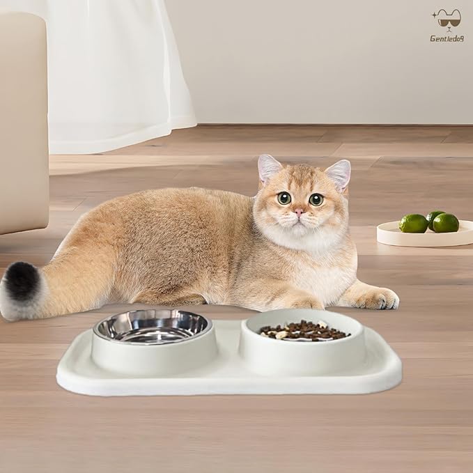 Gentledog Waterproof Silicone Cat Food Bowls, Stainless Steel & Silicone Slow Feeder Double Bowls, Non-Skid & Non-Spill Raised Edge, Food and Water Feeder for Cat and Puppy