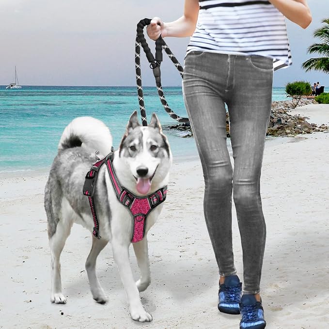 BARKBAY No Pull Dog Harness Large Reflective Dog Harness with Front Clip and Easy Control Handle for Walking Training Running with ID tag Pocket(Pink/Black,M)