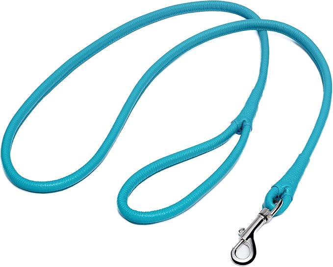 OOPSDOGGY Rolled Leather Dog Lead 6ft Heavy Duty Training Leash for Small Medium Large Dogs & Puppy Black Brown Red (Blue, Large)