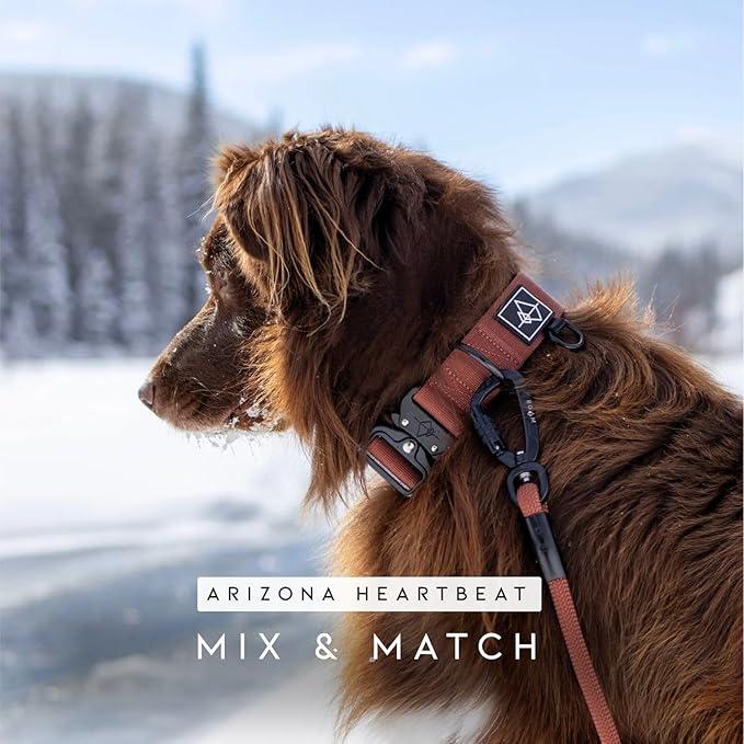 MADE TO ROAM Premium Explorer Leash - Climbing Rope Leash with Autolocking Aviation Aluminum Carabiner - Carolina Blooms, 6ft
