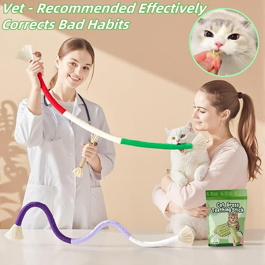 Grembeb Cat Toys 24Pack Cat Grass Treat Catnip Toy with Silvervine for Indoor Kitten Toys Wood Cat Chew Rope Kitten Grass Stick for Teeth Cleaning Cat Snack for Kitty Cat Nip Dental Care Cat Self Play