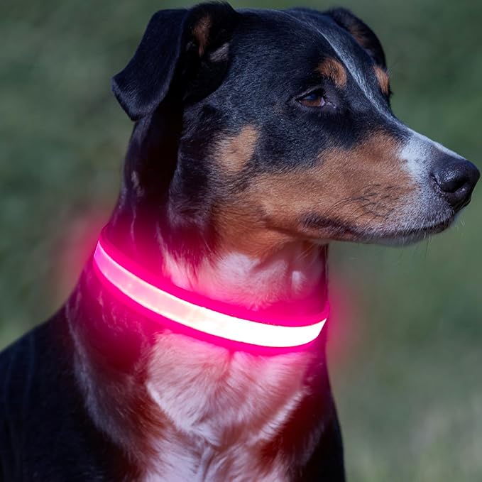 Vizpet LED Dog Collar, Light Up Dog Collar Adjustable USB Rechargeable Super Bright Safety Light Glowing Collars for Dogs (Small, Pink)