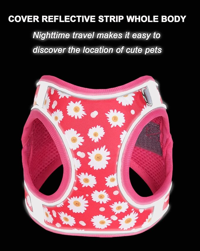 S ROSEO Flower Pattern Dog Harness and Leash Set,No Escape Puppy Harnesses for Training Walking,Breathable Adjustable Puppy Vest for Small Medium Dogs, Cats (ROSEO, S)