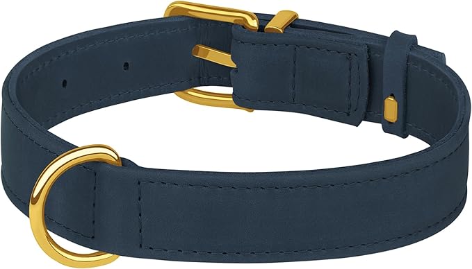 Leather Dog Collar - Heavy Duty Adjustable Soft Padded Pet Collars for Small Medium Large Dogs Breed - Black Green Brown Pink Red Blue (Smoky Blue, M, 12"-15" Neck Fit)