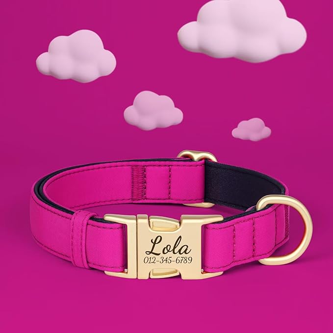 PET ARTIST Colorful Personalized Dog Collars, Custom Dog Collar with Silent Engraved ID Tag, Lightweight Breathable Nylon & Soft Padded, Matching Leash & Poop Bag for Large Dogs,Rose,L Fit 15-23"