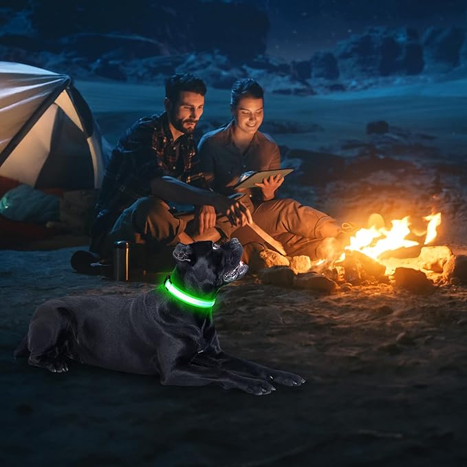 Illumifun LED Dog Collar, USB Rechargeable Light Up Collar, Flashing Pet Safety Light Glow in The Dark (Green, X-Large)