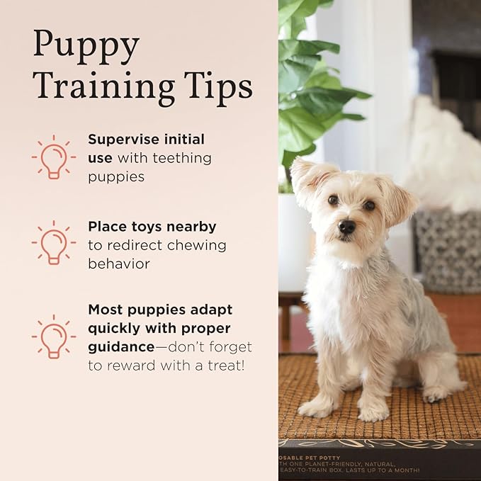 Puppy Bark Potty Natural Dog Potty for Small Dogs & Teething Puppies - Odor Neutralizing Reusable Indoor Solution for Apartments - Eco-Friendly Pee Pad Alternative - Large 30x20
