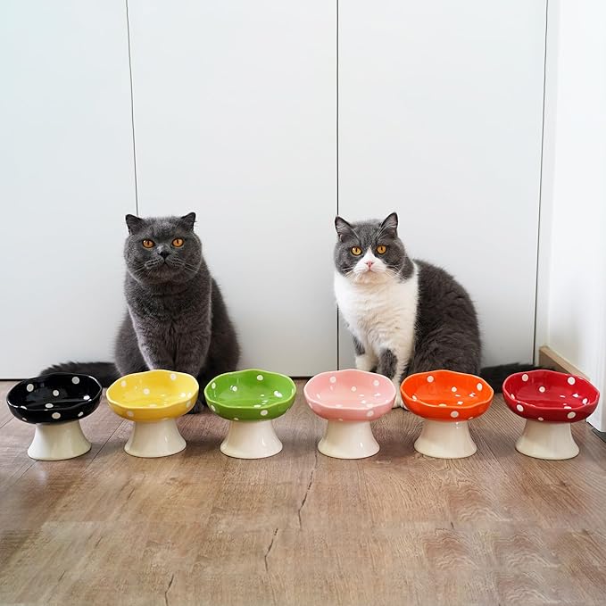 Ceramic Elevated Cat Bowls, Tilted Raised Pet Dish Anti Vomit Kitten Bowl for Indoor Cats, Whisker Friendly Pet Food and Water Bowl for Kitten, Cat, Puppies, Dishwasher Safe (Red+Orange)