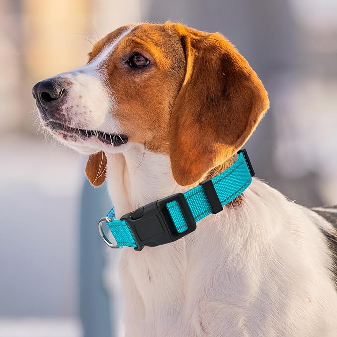 Personalized Embroidered Dog Collar - Custom Hand-Stitched Name & Number, Reflective Adjustable Pet Collar for Small/Medium/Large Dogs & Cats, Durable Nylon with Steel D-Ring (Black, Large)