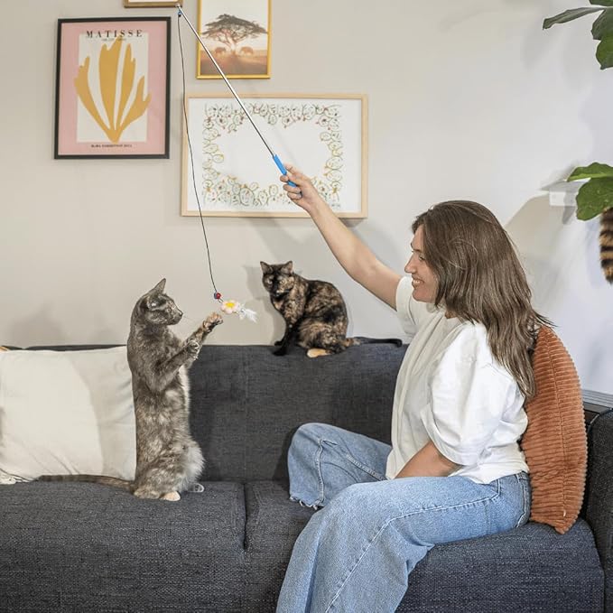 Magnetic Catch Wand (Max 40") Cat Toy – Interactive Telescoping Wand for Indoor Cats and Kittens, Magnetic Easy Catch & Release, Durable Enrichment Toy with 3 Lures