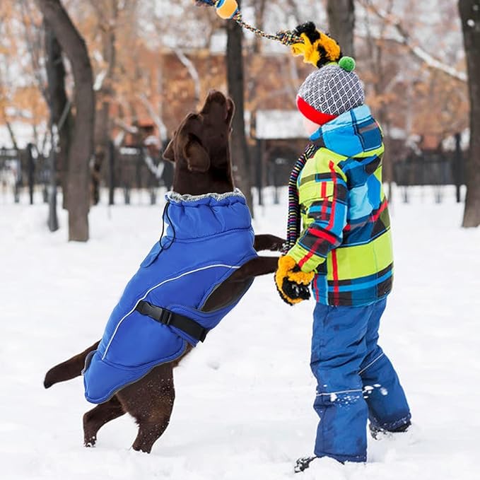 DENTRUN Winter Warm Dog Coat Reflective Jacket with Turtleneck for Cold Weather, Adjustable Buckle Windproof Water Repellent, Thick Snowsuit Fleece Vest for Small, Medium, Large Dogs, Blue, M