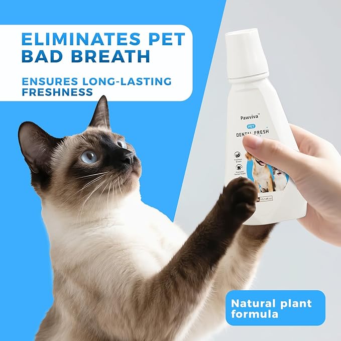 Pet Dental Fresh Water for Dogs and Cats, 10.14 fl oz, Gentle Formula
