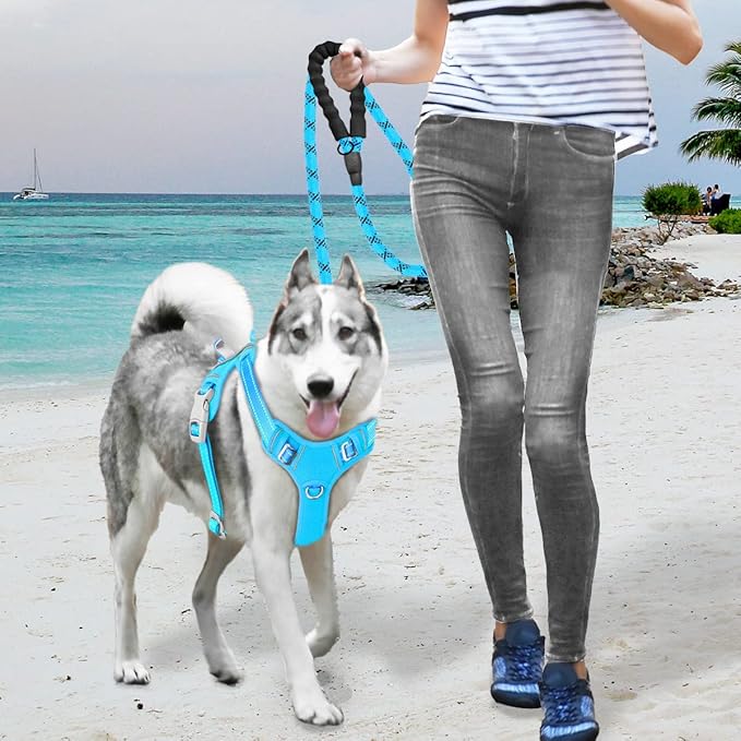 BARKBAY No Pull Dog Harness Large Reflective Dog Harness with Front Clip and Easy Control Handle for Walking Training Running with ID tag Pocket(Blue,S)