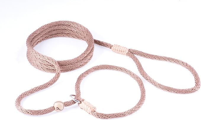 Alvalley Nylon Dog Training Leash with Stopper - Adjustable Nylon Rope Comes with Braided Leather at Ends - Tagua Bead Stopper Slip Lead - Suitable for Walking, and Training