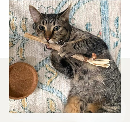 The Cat Park Silvervine Sticks for Cats 5 Pcs, Natural Catnip Cat Chew Toys for Indoor Cat Teeth Cleaning, Aggressive Chewers, Kitten Teething Matatabi Chew Stick Cat Toys, Silvervine for Cats
