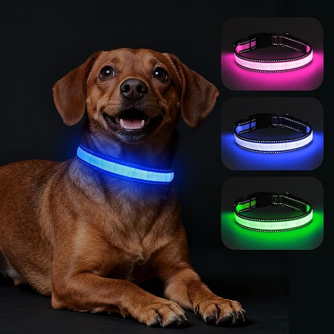 Dolitego LED Dog Collar USB Rechargeable - Light Up Dog Collar Safety Pet Collars with Lights for Night Walking (Blue, L)