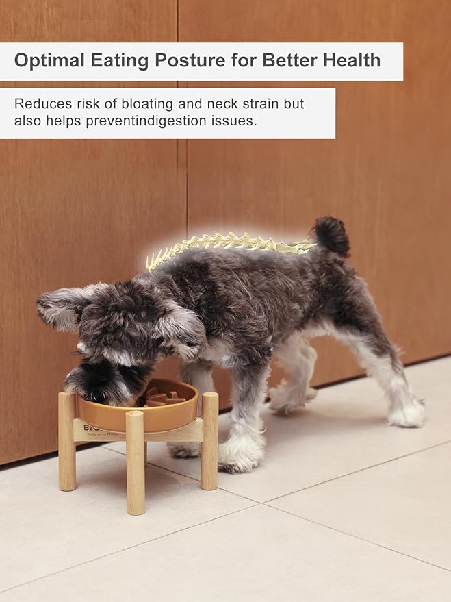 Ceramic Maze Dog Slow Feeder with Non-Slip Silicone Rim (& Bamboo Stand) – Heavy-Duty Stoneware Bowl with Puzzle Pattern for Bloating & Obesity Prevention (Raised-Orange-M)