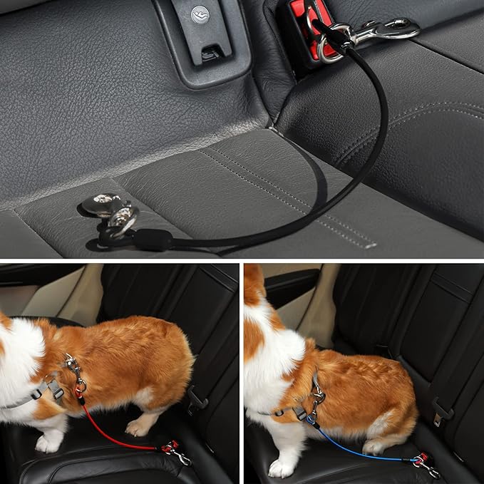 Dog Seat Belt Harness for Car,2pcs Dog Seatbelt of Coated Wire Leash Safety Restraint,No Chew Tether Cable Vehicle Dogs Accessories,Double Clips & Latch (Blue, 24 inch/60 CM)