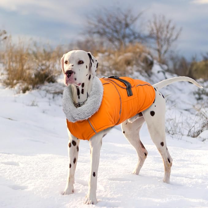 Lelepet Dog Coat Waterproof Dog Jacket Reflective Fleece Vest with Adjustable Buckle & Leash Hole Windproof Cold Weather Coats for Small Medium Large Dogs, Warm Hunting Vest, Orange, XL