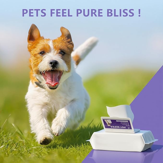 Pet Wipes, Alcohol-Free, Fragrance-Free, Hypoallergenic, for Cleaning and Grooming Dogs and Cats Paws, Face and HIPS (80 Wipes)