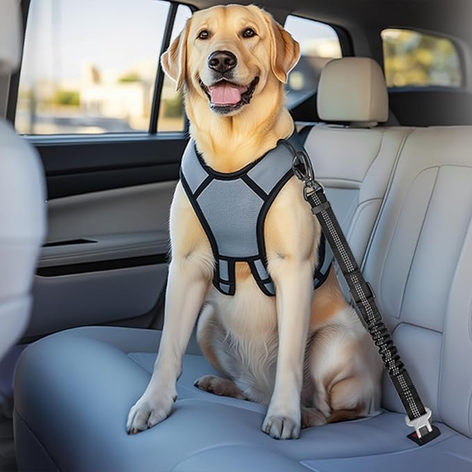 Dog Seat Belt for Car, Dog Car Harness Dog Seatbelt in Car, Safety Leash with Woven Elastic Nylon Buffer Adjustable Rotating Buckle and Dog Poop Bags (19.6-31.5in, Black)