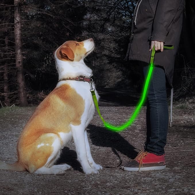 Illumifun LED Dog Leash, 4FT Reflective Light Up Dog Leash, Safety Flashing Dog Lead Light Glow in The Dark (Green Ⅲ)