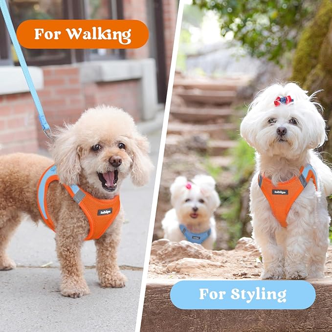 rabbitgoo Small Dog Harness, Step-in Soft Mesh Puppy Vest with Safety Buckle, Breathable Reflective Pet Harness for Large Dogs, Blue & Orange XXL