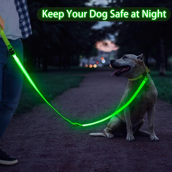 Dlitk Light Up Dog Leash, 6 Ft LED Leashes Rechargeable, Nylon Reflective Lead with Padded Handle for Night Walking, Safety Glow Lights for Large Medium Small Dogs(Green, 6 Ft)