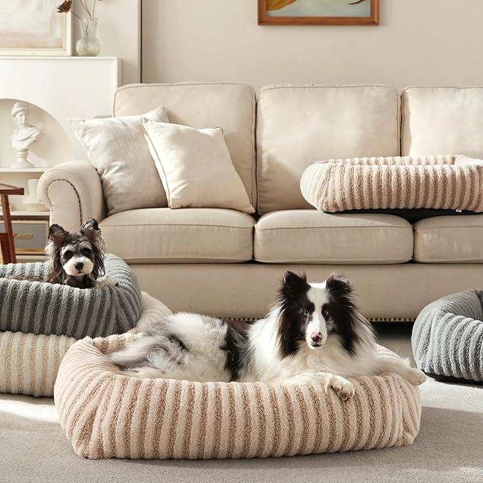 MIXJOY Dog Beds for Small Dogs Cats, Washable Dog Bed with Removable Cover, Soft Calming Cat Bed for Indoor Cats, Rectangle Pet Sofa Bed for Puppy Kitty, Anti-Slip Bottom,20"x19"x6", Beige