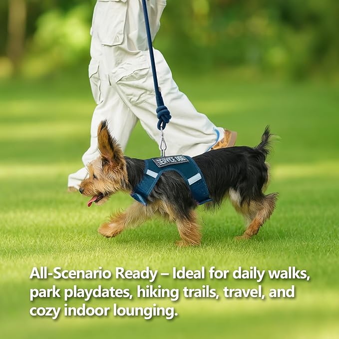 Dog Harness for Puppy – Adjustable Reflective Easy Put On Soft Mesh Vest for Small Dogs with 2 Patches (Prussian Blue,XXXS)