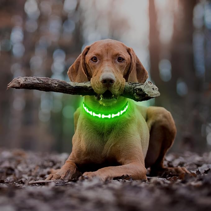 Flashseen Light Up Dog Collars, Adjustable LED Dog Collar Rechargeable, Glow in The Dark Dog Collars Super Bright Glow Collars for Night Walking for Dogs (Green, Large)