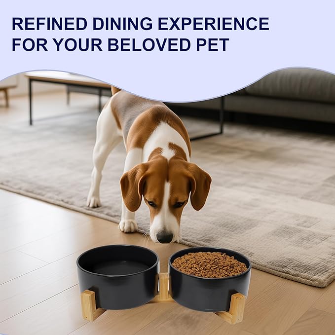 OniAnt Ceramic Dog Water Bowl, 13.5 oz No Spill Water and Food Bowls for Dogs, Modern Design Dishes for Puppy & Cat, Pet Feeding Station with Weighted Base, Black