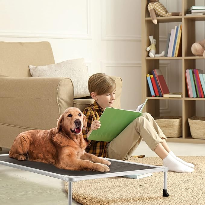 Veehoo Chewproof Elevated Dog Bed - Cooling Raised Pet Cot, Breathable Mesh, Washable & Non-Slip for Large Dogs, Indoor/Outdoor, Brown Mat and Silver Metal Frame, 42x30inches (Model CWC2203B03)