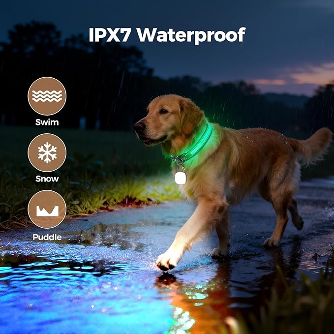 Light Up Dog Collar with Dogs Light Set,2 Pack Adjustable Rechargeable LED Dog Collar Light for Night Walking for Small Medium Large Pet