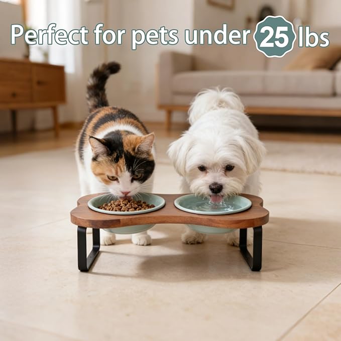SPUNKYJUNKY Ceramic Elevated Tilted Dog Bowls Bone-Shaped Raised with 2 Height Iron Stand, 5.9'' Dog and Cat Food Water Bowls Set Non-Slip for Small Sized Breed - 13.5 OZ,Light Green