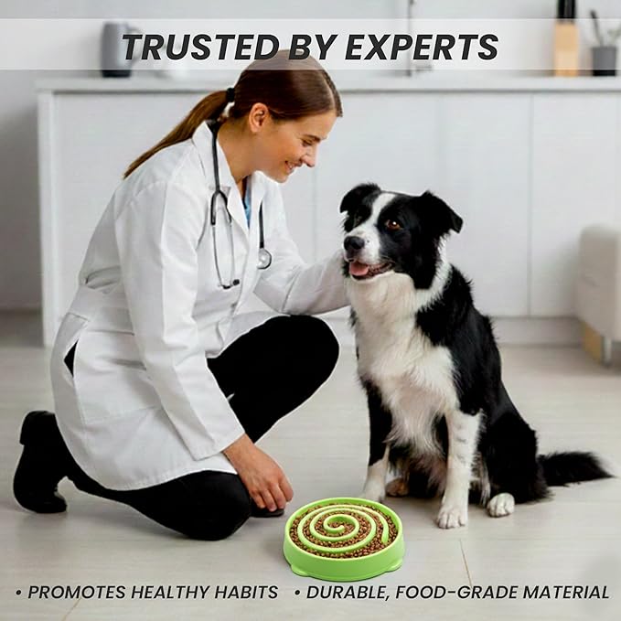 Slow Feeder Dog Bowl for Small and Large Dogs – Anti-Gulping Non-Slip Maze Bowl to Improve Digestion and Reduce Bloat (Green, Large)