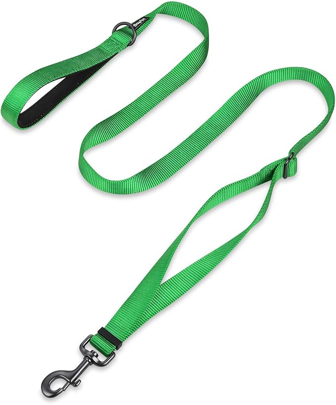 Hyhug Nylon Adjustable 4-6ft Dog Leash with Soft Neoprene Padded Handle, Durable Heavy Duty Leash with Easy-to-Use Bolt Snap, Ideal for Jogging Outdoor