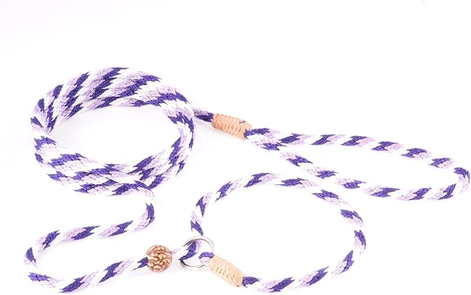 Alvalley Nylon Dog Training Leash with Stopper - Adjustable Nylon Rope Comes with Braided Leather at Ends - Tagua Bead Stopper Slip Lead - Suitable for Walking, and Training